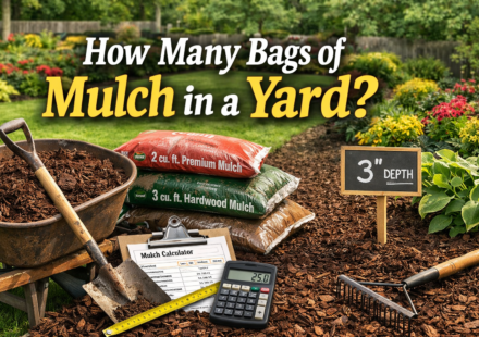 How many bags of mulch in a yard.