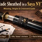 blade sheathed in a saya nyt