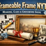 frameable frame nyt