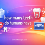 how many teeth do humans have