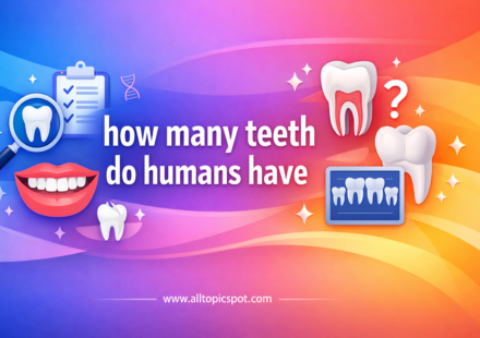how many teeth do humans have