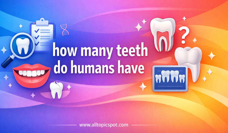 how many teeth do humans have