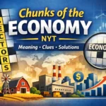 chunks of the economy nyt