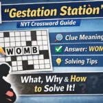 gestation station nyt