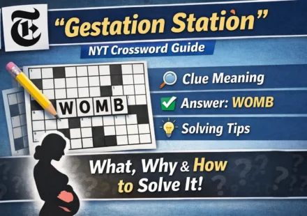 gestation station nyt