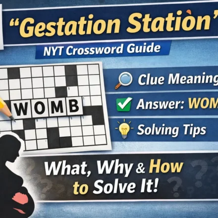 gestation station nyt