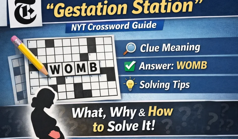 gestation station nyt