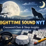 nighttime sound nyt