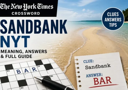 sandbank nyt
