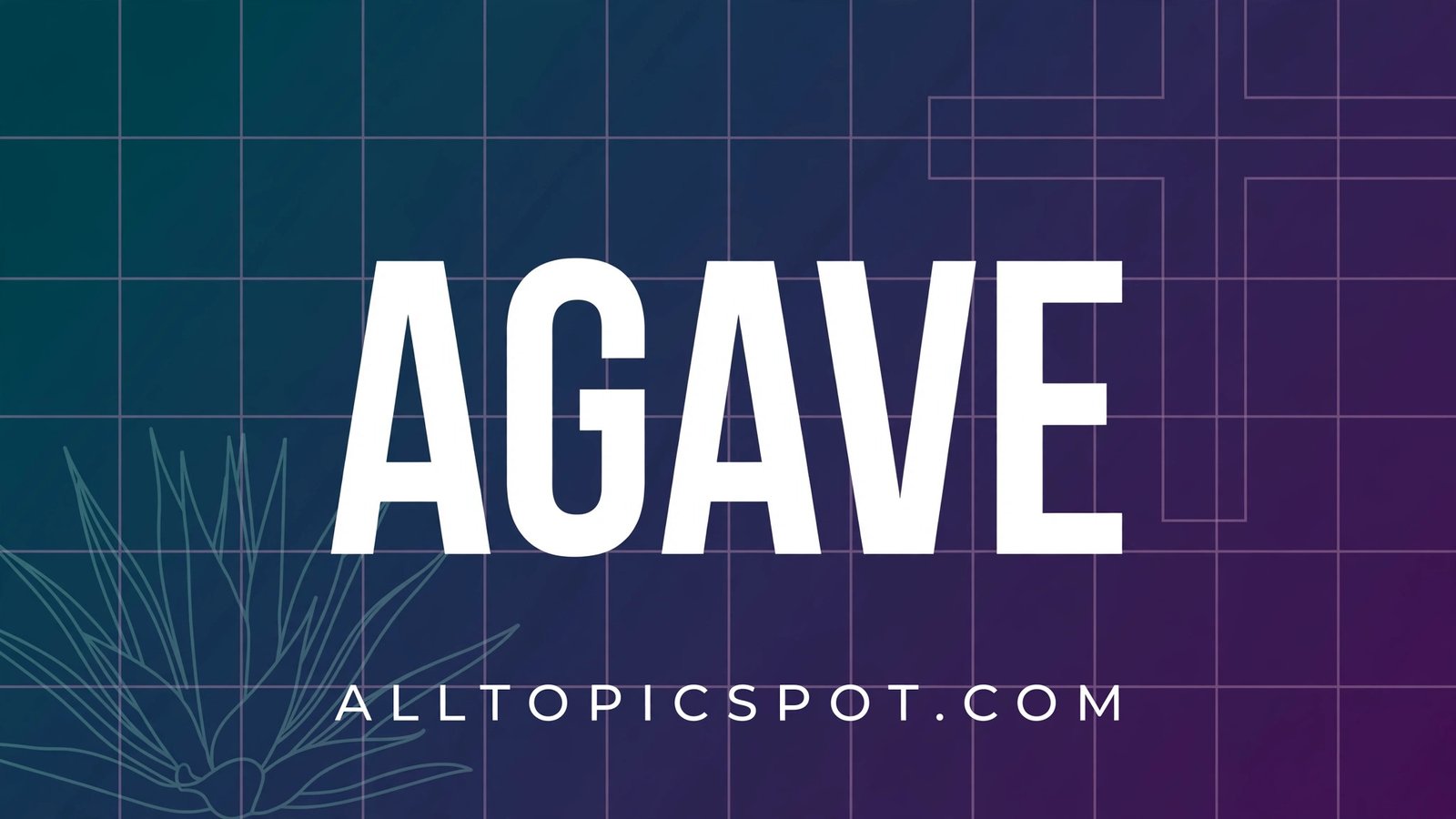 AGAVE NYT crossword answer to 'Tequila source' clue with agave plant theme